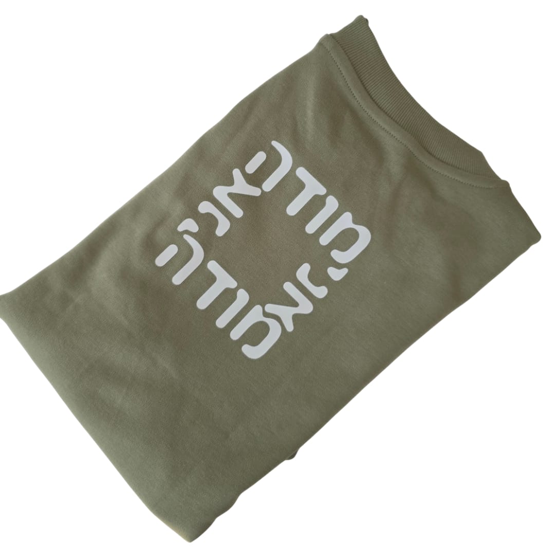 טישירט 'אמונה' במגוון דגמים